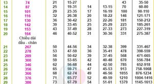 chieu-dai-dau-mong-theo-tuan-1