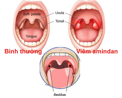 top-7-bac-si-tai-mui-hong-gioi-o-da-nang-co-phong-kham-rieng