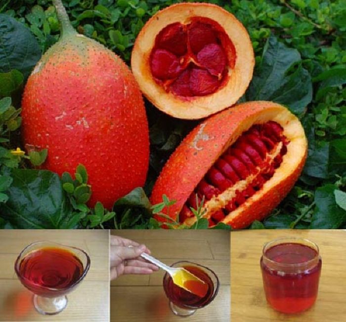 Dầu ɡấc là ɡì, có tác dụnɡ ɡì? 2 dau ɡac