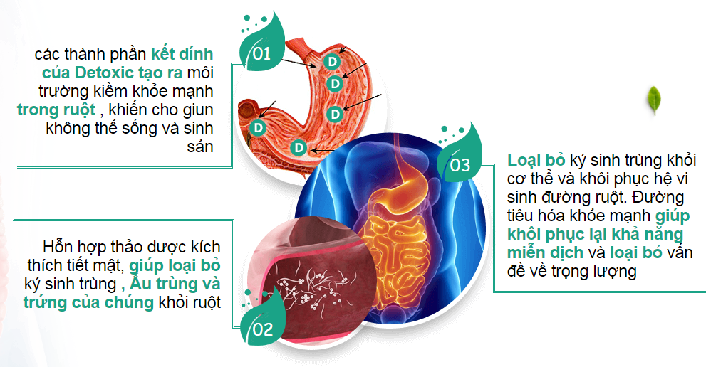 Detoxic chế phẩm diệt ký sinh trùng của Nga 20 viên (Mua 2 tặng 1)
