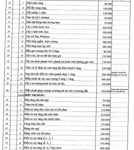 bang gia benh vien rang ham mat 3