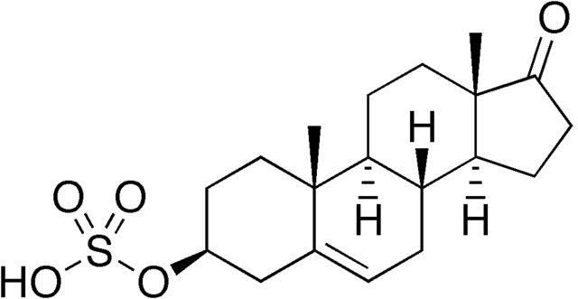 dhea la gi