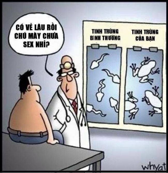tu suong nhieu