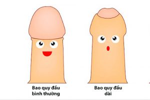 dai bao quy dau