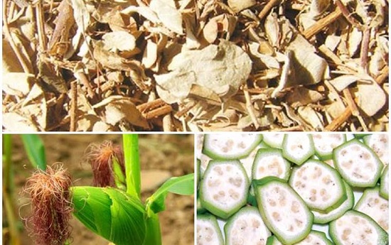 7 bài thuốc chữa tiểu đêm hiệu quả nhất hiện nay 2 chữa tiểu đêm nhiều