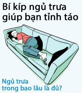 ngu trua