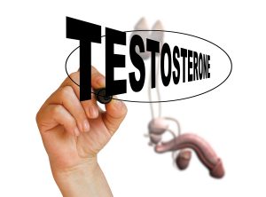 Testosterone