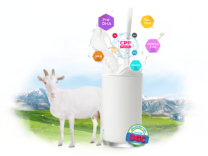 Gợi ý loại sữa dê trên thị trường dành cho bé