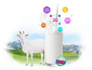 Tư vấn cho mẹ bé trên 1 tuổi nên uống sữa gì