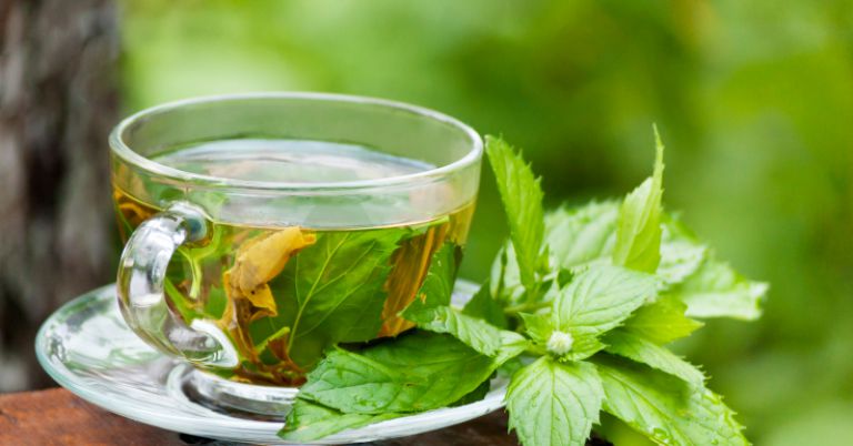 [Bật mí] Những tác dụng tuyệt vời từ hoa hòe
