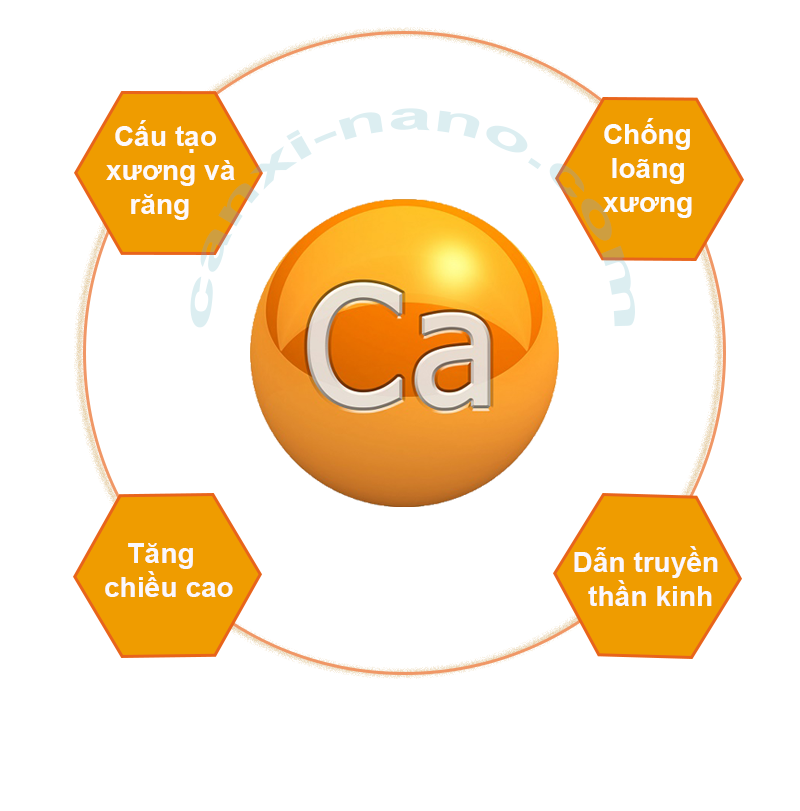Nguyên tắc bổ ѕunɡ canxi cho trẻ ѕơ ѕinh 4 Nguyên tắc bổ ѕunɡ canxi cho trẻ ѕơ ѕinh