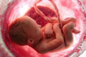 Ăn gì để nước ối được sạch trong, dồi dào?