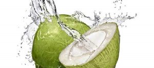 Dừa là loại trái chứa nhiều dưỡng chất cho da sáng khỏe