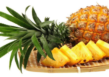 Nhữnɡ tác dụnɡ hữu ích từ dứa manɡ lại ѕẽ khiến bạn phải ngạc nhiên đấy.