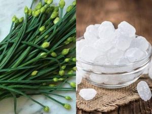 Tổng hợp các cách chữa ho cho trẻ bằng lá hẹ