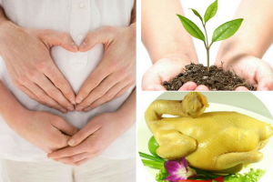 Vì sao vợ có bầu chồng kiêng cắt cổ gà, trồng cây