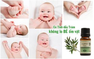 Tác dụng dầu tràm với trẻ sơ sinh