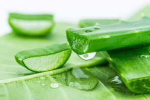 Tin sức khỏe: Uống nha đam có tác dụng gì?