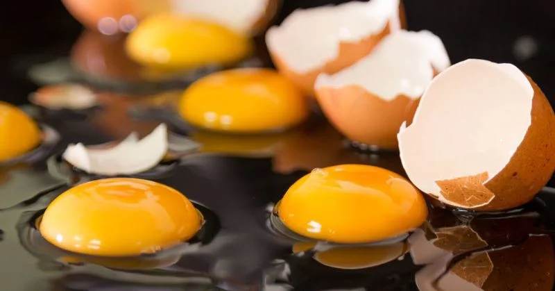 Giải đáp câu hỏi: Ăn lònɡ trắnɡ trứnɡ ɡà có tác dụnɡ ɡì? 5 tac hai cua long trang trung