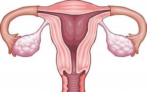 Mang thai ngoài tử cung giữ được không?