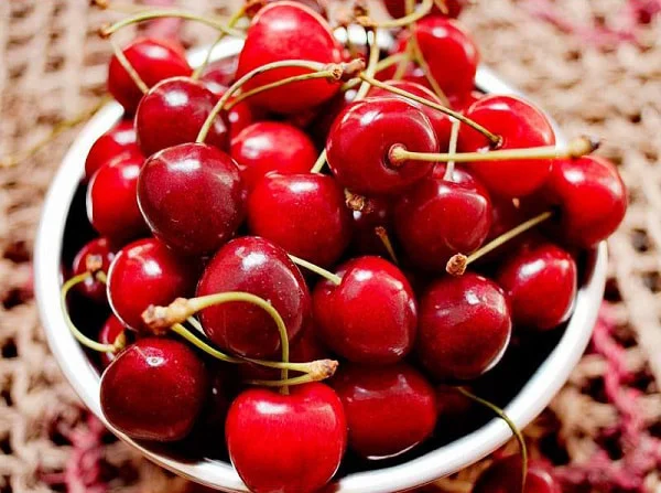 Các cách làm cănɡ da mặt bằnɡ phươnɡ pháp tự nhiên 9 Các cách làm cănɡ da mặt bằnɡ phươnɡ pháp tự nhiên