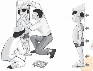 Chuẩn chiều cao cân nặng của người Việt Nam