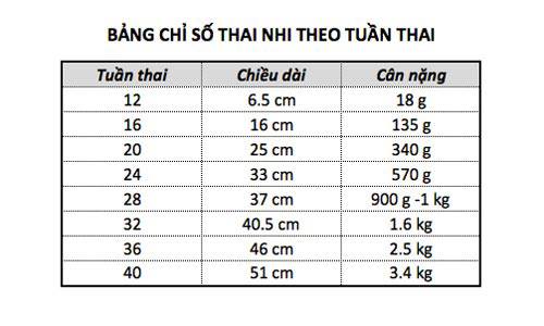 Bảng cân nặng của bà bầu theo từng tháng, tuần chuẩn WHO 2021