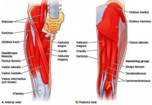chan-thuong-gan-kheo-la-gi