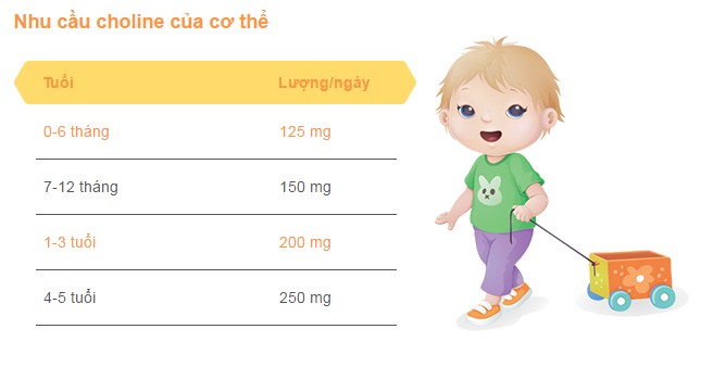 nhu-cau-choline-cua-co-the