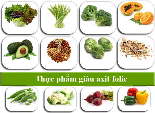 thuc-pham-giau-axit-folic